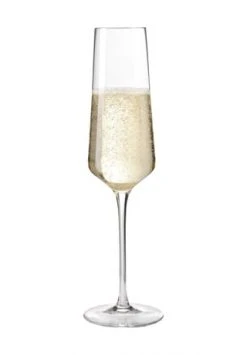 LEONARDO Sektglas "Puccini", 280 Ml, Kristallglas